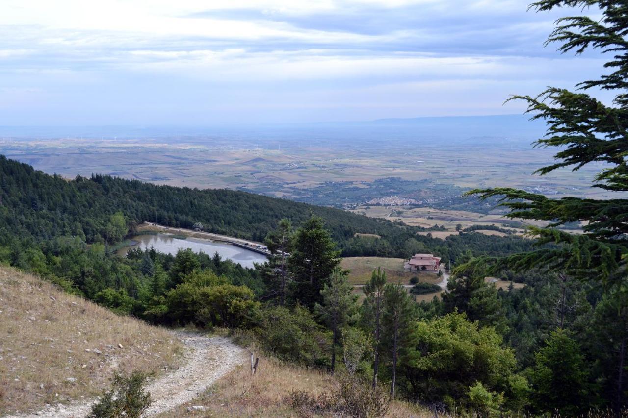 Bubble Sul Tetto Della Puglia