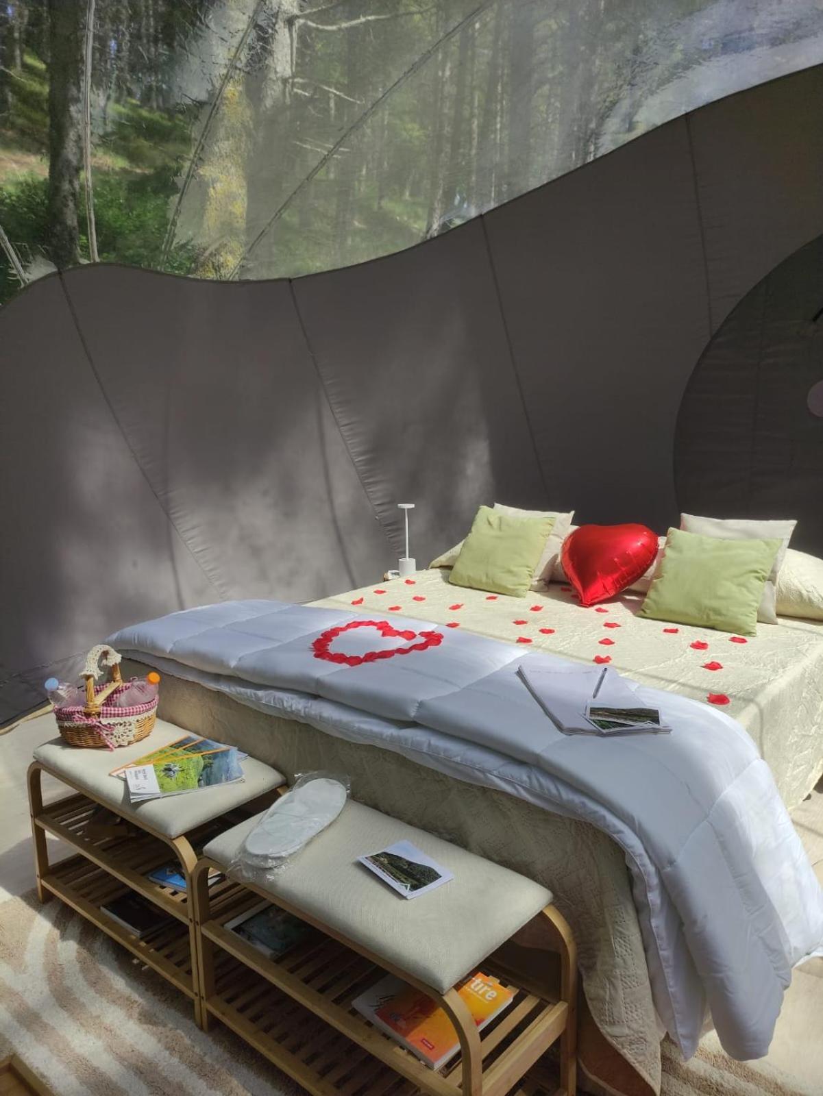 Glamping Bubble Sul Tetto Della Puglia *