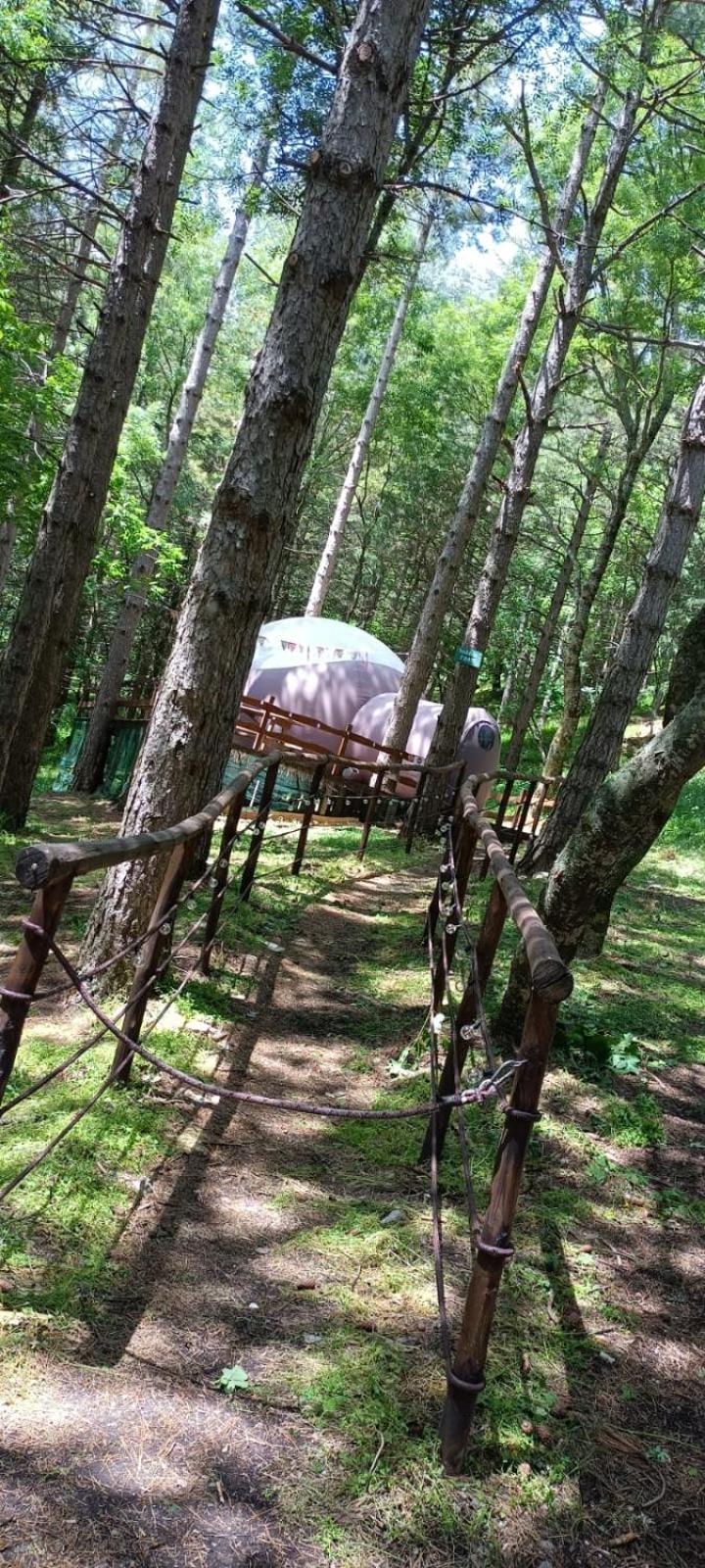 Bubble Sul Tetto Della Puglia Glamping